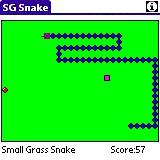 SG Snake for PALM 3.0 screenshot SG Snake for PALM 3.0 screenshot
