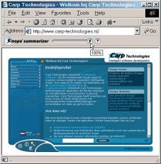 Sinope Summarizer PE Trial 1.2 screenshot Sinope Summarizer PE Trial 1.2 screenshot