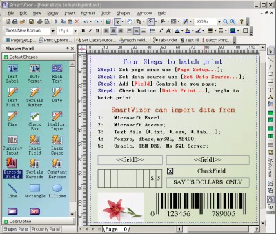SmartVizor Designer & Batch print 4.0 4.0 screenshot