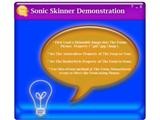 Sonic Skinner Control 1.0 screenshot Sonic Skinner Control 1.0 screenshot