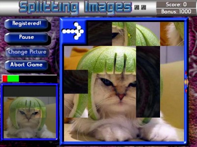 SplittingImages 2.2 screenshot SplittingImages 2.2 screenshot