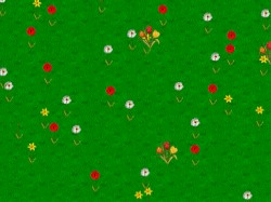 Spring Wildflowers Screen Saver 1.2 screenshot