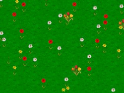Spring Wildflowers Screen Saver 1.3 screenshot Spring Wildflowers Screen Saver 1.3 screenshot
