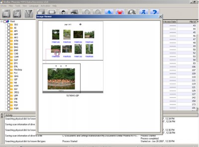 Stellar Phoenix NTFS Data Recovery Software for NT 3.0 screenshot