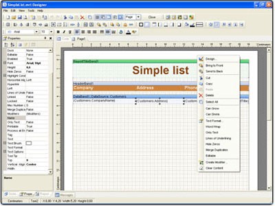 StimulReport.Net 2007.1 screenshot StimulReport.Net 2007.1 screenshot