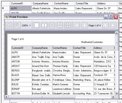 Teroid Data Grid View Print Control 1.0 screenshot Teroid Data Grid View Print Control 1.0 screenshot