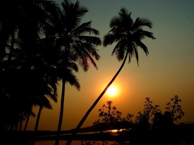 The Bright Yellow Light Screensaver 1.0 screenshot The Bright Yellow Light Screensaver 1.0 screenshot