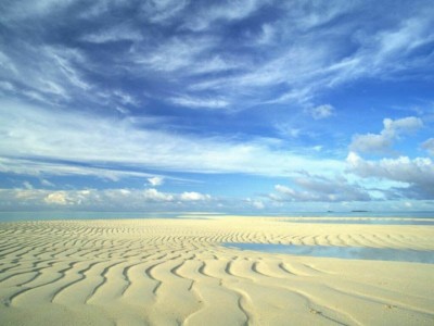The Desert 1.00 screenshot