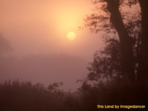 This Land 2.0 screenshot This Land 2.0 screenshot