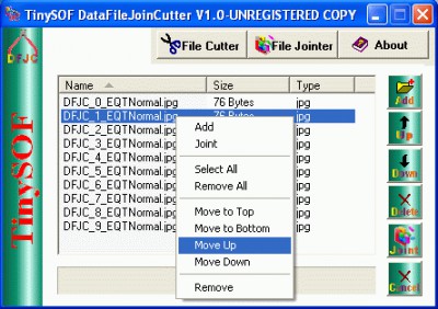 TinySOF DataFileJoinCutter 1.1 screenshot
