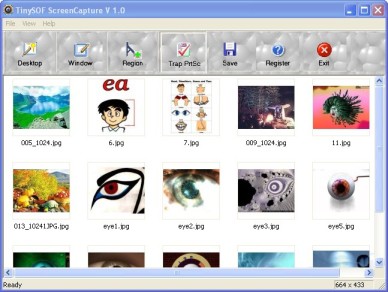 TinySOF Screen Capture 1.0 screenshot TinySOF Screen Capture 1.0 screenshot