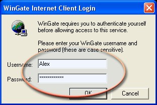 WGICPopupKiller 1.02 screenshot WGICPopupKiller 1.02 screenshot