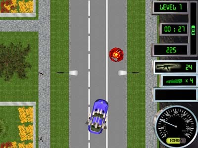 Wild Races 3.2 screenshot Wild Races 3.2 screenshot