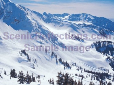 Winter Wonders Screensaver 2.0 screenshot
