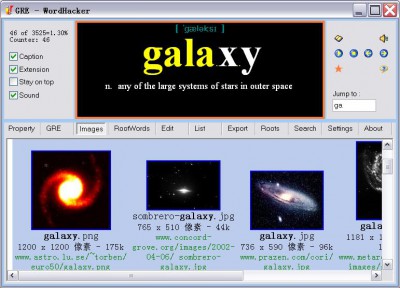WordHacker Golden Edition 4.1 screenshot