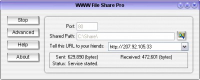 WWW File Share Pro 5.20 screenshot WWW File Share Pro 5.20 screenshot