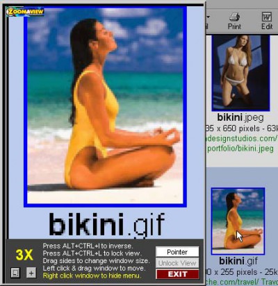 ZoomAView - The Computer Magnifier! 1.5 screenshot ZoomAView - The Computer Magnifier! 1.5 screenshot