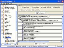 zsDuplicateHunter Standard 2.21 screenshot