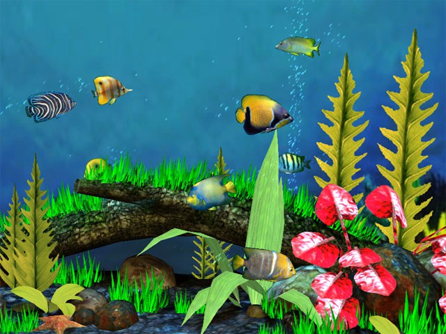 fish tank wallpaper. aquarium free screensaver