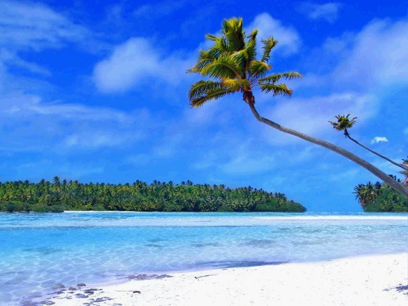 tropical desktop wallpaper. Tropical Beach Living Desktop 1.0.0 review