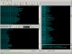 1st Newsgroup Email Extractor 1.4