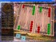 2007 Backgammon 5.0