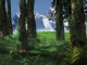 3D Forest Screensaver 1.0