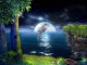 3D Jumping Dolphins Screensaver 1.0 3D Jumping Dolphins Screensaver 1.0