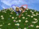 3D Valentine's Day Screensaver 1.01 3D Valentine's Day Screensaver 1.01
