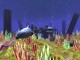 3D Wild Dolphin Screensaver 1.0