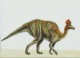7art Dinosaurs Free ScreenSaver 1.0