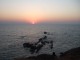 7art Goa Trip ScreenSaver 2.3
