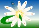 7art Merry Flower Clock ScreenSaver 1.1