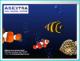 Abextra Aquarium Screensaver 1.0 Abextra Aquarium Screensaver 1.0