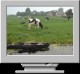Absolute Europe Mega Screen Saver 2.0