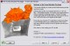 Absolute Packager 1.1 Absolute Packager 1.1