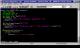 AbsoluteTelnet 4.01