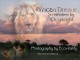 African Dreams Screensaver 1.0a