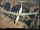 All Aircraft 3.0