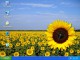 Amazing Clock 5.2 Amazing Clock 5.2