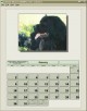 AMI Calendar Wizard 2.0a.09