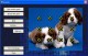 Animals puzzle from GAMESSIAH.COM 1.0 Animals puzzle from GAMESSIAH.COM 1.0