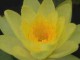 Animated Blessings On Easter Screensaver 1.0 Animated Blessings On Easter Screensaver 1.0
