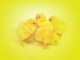 Animated Message Of Easter Screensaver 1.0 Animated Message Of Easter Screensaver 1.0