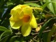 Animated Wonderful Easter Screensaver 1.0 Screenshot