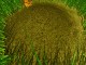 Ant Hill 3D 1.0