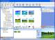 AnyPhoto Manager 1.0.0.186