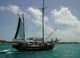 Aruba Screen saver 1.0