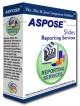 Aspose.Slides for Reporting Services 1.0.0.0