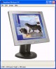 Auction Picture FX 1.9.1
